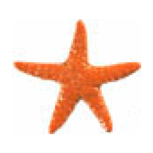 Artistry in Mosaics STAORAB 5" Starfish Orange