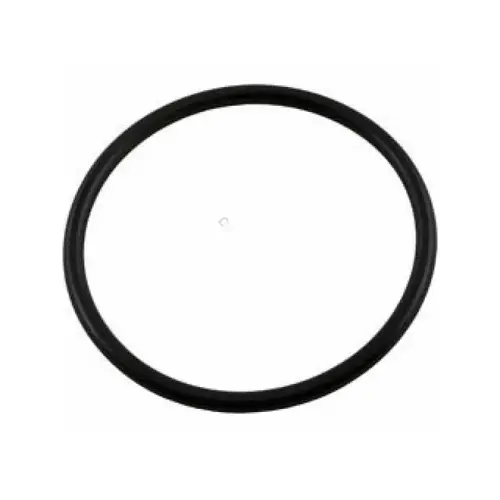 Waterway Plastics 805-0228 O-ring, #228 - Washer Oring Slide Valve Buy Now