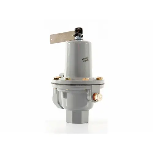 Ametek (Formerly EG&G Rotron) 515092 Valve Relief Rotron Gray