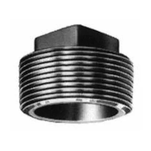 Galv C.i. Plug 2.0" Galvanized