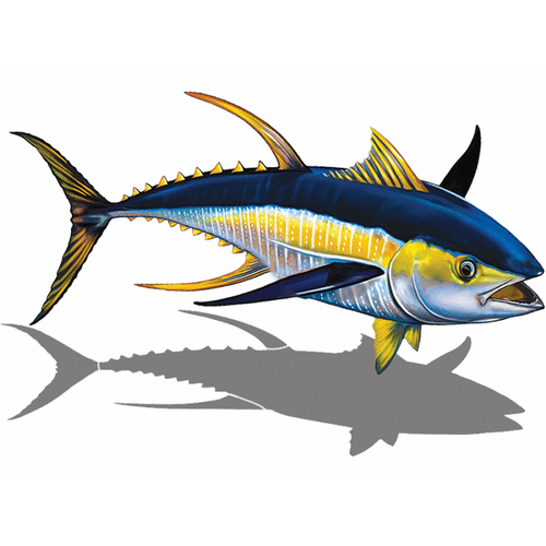 Shadow 15" Yellowfin Tuna