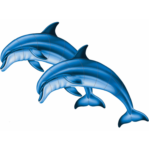 47"x33" Double Bottlenose Dolphin-a