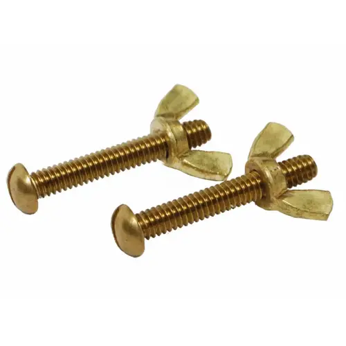 2/pk Brass Screw & Wing Nut Set