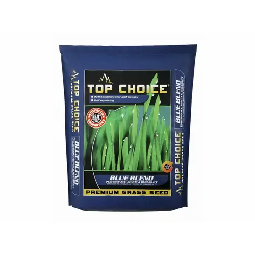 MOUNTAIN VIEW SEEDS LTD 27381 Mvs Top Choice Seed Blue Blend Ky Bluegrass 20#