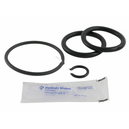 Pentair 273109 Abs Backwash Slide Valve Oring Kit