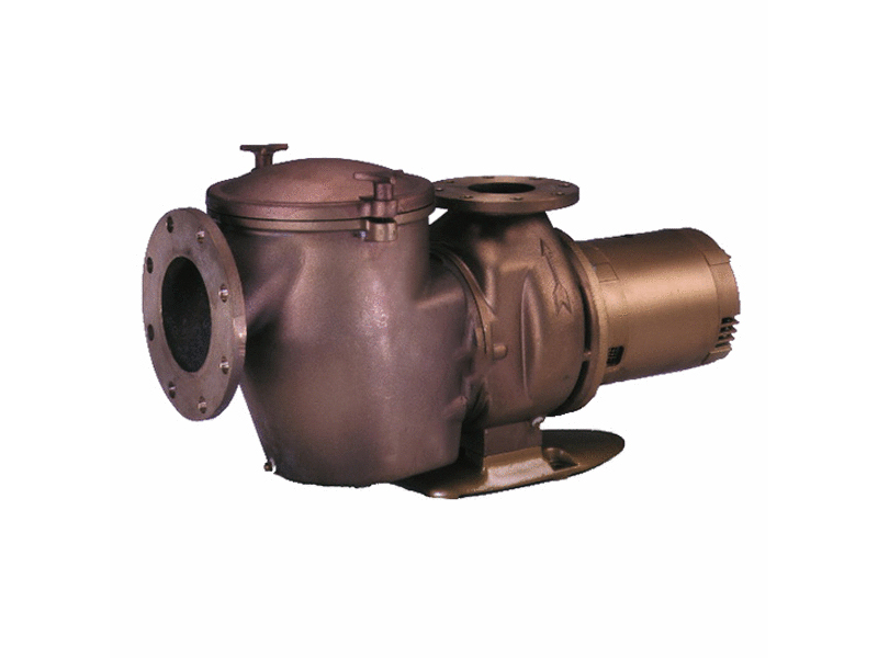 普天元　8 Pentair C-Series CHK-50 5 HPPool Pump and Strainer 6 x 4