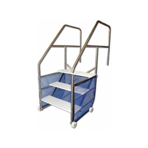 Bozeman 3-step Ada Therapy Ladder