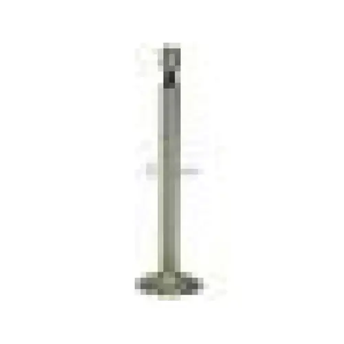 Briggs Intake Valve