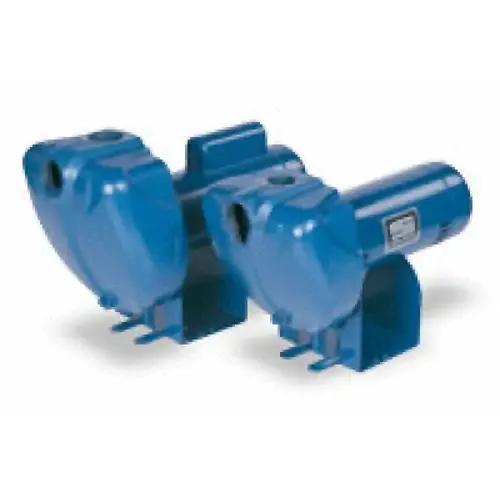 Sta-rite 1hp Cntrfgl Pump