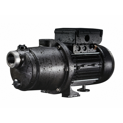 Pentair LAMS05 Boostrite Pressureside Cleaner Booster Pump 1.1hp 115