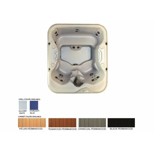 Cove C500LED WHT BLACK CAB Spa 2hp 110v/220v 23 Jets 425 Gal Led