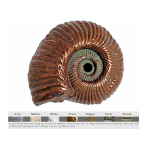 Pentair 544 Brass Fossil Nautilus Shell