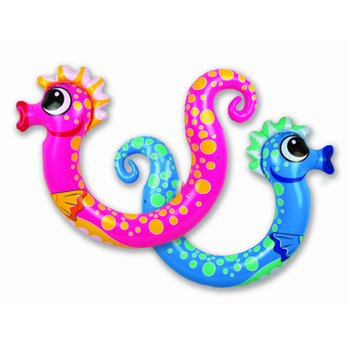 2pk Seahorse Noodle Blue & Pink