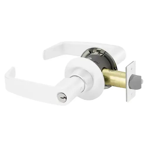 Cylindrical Lock White Suede