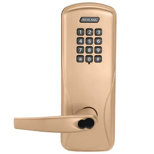 Electric Mortise Lock Satin Bronze Clear Coated