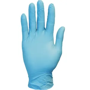 Safety Zone GVP9-LG-1-SYBL VINYL GLOVES POWDER FREE LARGE CLEAR