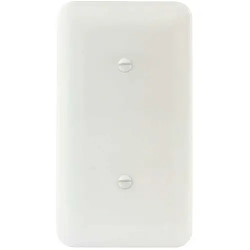 White Smooth 1-Gang Blank Princess Metal Wall Plate