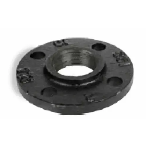 4" Compan Flange Cast Iron Blk