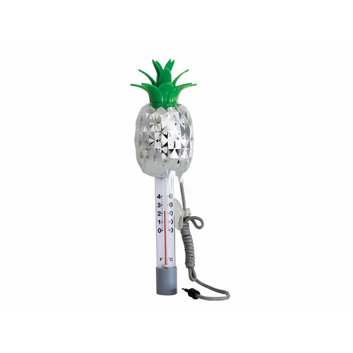 Pineapple Floating Chrome Thermometer