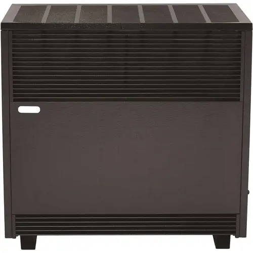 Williams 6501521A 65,000 BTU Enclosed Front Liquid Propane Gas Room Heater Black