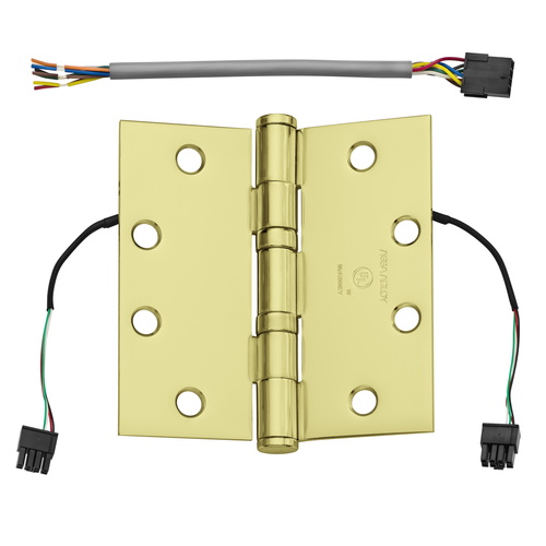 Electrified Hinge Bright Brass