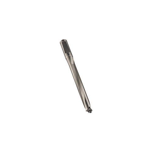 High-Speed Steel H85823.0 Hydra Body - 8 x D Usable Length - 00