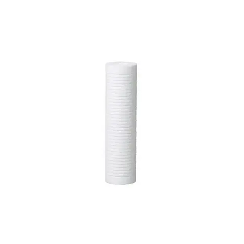 AP110-NP Replacement Filter - 2.5" Diameter