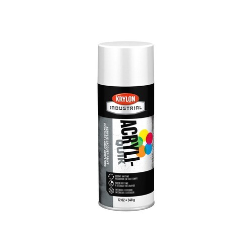 00555 White Gloss Acrylic Enamel Paint - 16 oz Aerosol Can - 12 oz Net Weight