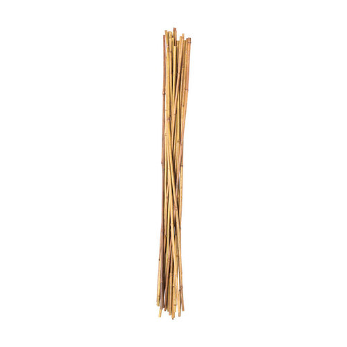 Plant Stake 36" H Brown Bamboo Brown - pack of 6