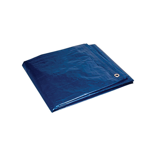 Foremost Tarp Co. 80068 Tarp . 6 ft. W X 8 ft. L Heavy Duty Polyethylene Blue Blue