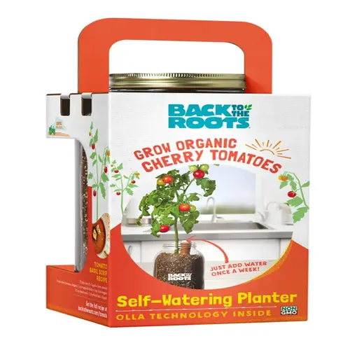 Grow Kit Cherry Tomato