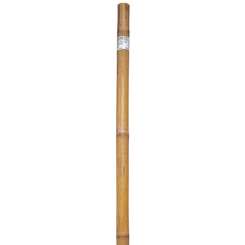Plant Stake 6 ft. H X 1" W Brown Bamboo Brown