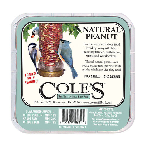Cole's 8314965 Wild Bird Food Natural Peanut Assorted Species Beef Suet 11.75 oz