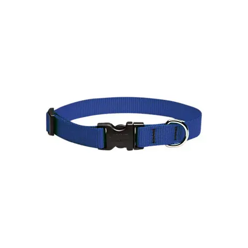 Adjustable Collar Basic Solids Blue Blue Nylon Dog Blue