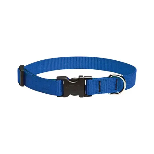 Lupine Pet 17502 Adjustable Collar Basic Solids Blue Blue Nylon Dog Blue