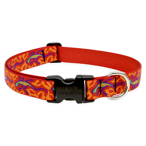 Adjustable Collar Original Designs Multicolor Go Go Gecko Nylon Dog Multicolor