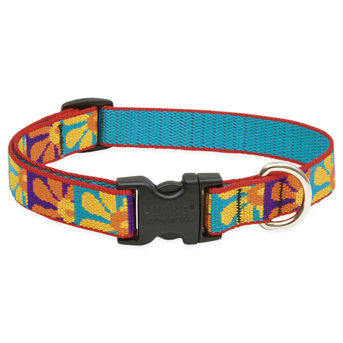 Adjustable Collar Original Designs Multicolor Crazy Daisy Nylon Dog Multicolor