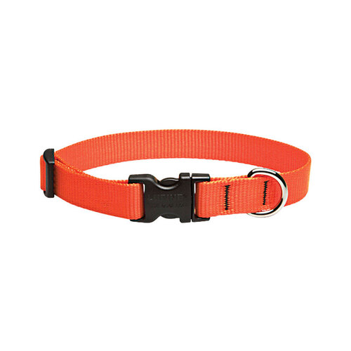 Lupine Pet 52502 Adjustable Collar Basic Solids Blaze Orange Blaze Orange Nylon Dog Blaze Orange