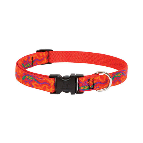Lupine Pet 41001 Adjustable Collar Original Designs Multicolor Go Go Gecko Nylon Dog Multicolor