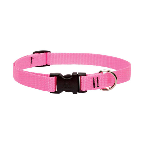 Lupine Pet 57502 Adjustable Collar Basic Solids Pink Pink Nylon Dog Pink