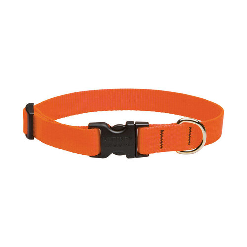 Lupine Pet 52501 Adjustable Collar Basic Solids Blaze Orange Blaze Orange Nylon Dog Blaze Orange