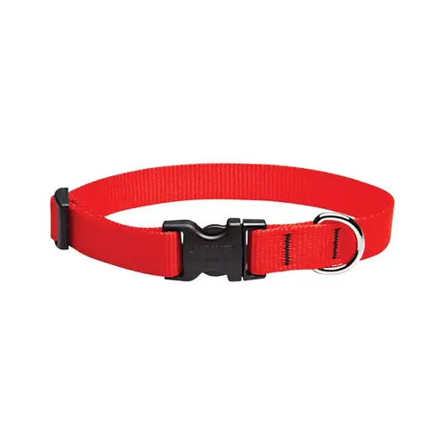 Adjustable Collar Basic Solids Red Red Nylon Dog Red