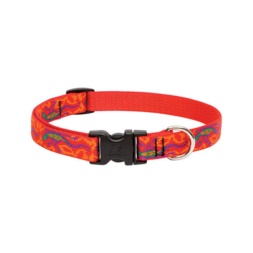 Original Designs Dog Collar