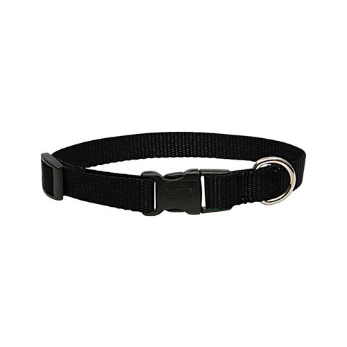 Lupine Pet 27502 Adjustable Collar Basic Solids Black Black Nylon Dog Black