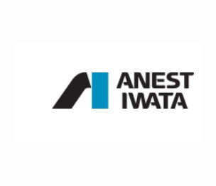 ANEST IWATA 93691610 Nozzle/Needle Set, 1 mm, Use With: W101 Pressure Feed,  Gravity Feed and Siphon Feed Spray Gun