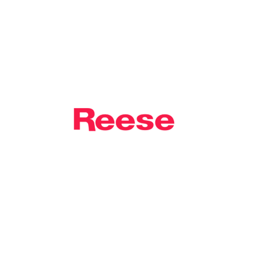 Reese 805A X 36" REESE 1/4 x 2-1/4 x 36" Door Bottoms, Door Sweep